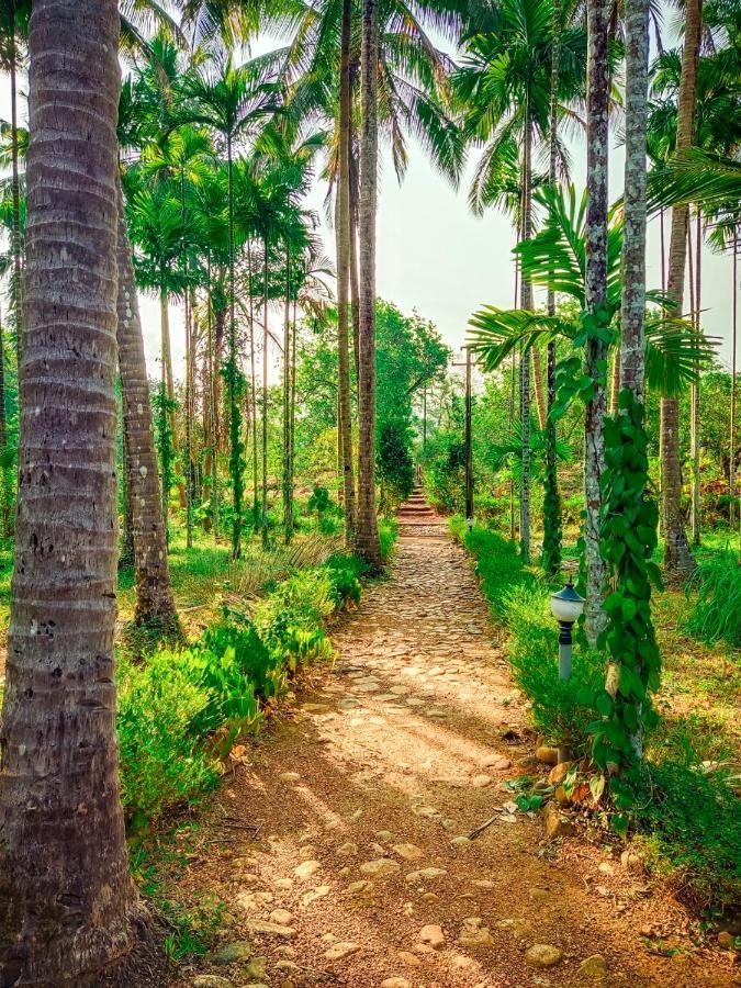 Nature'S Nest Eco Resort Goa, Near Dudhsagar Waterfalls Molem Eksteriør bilde