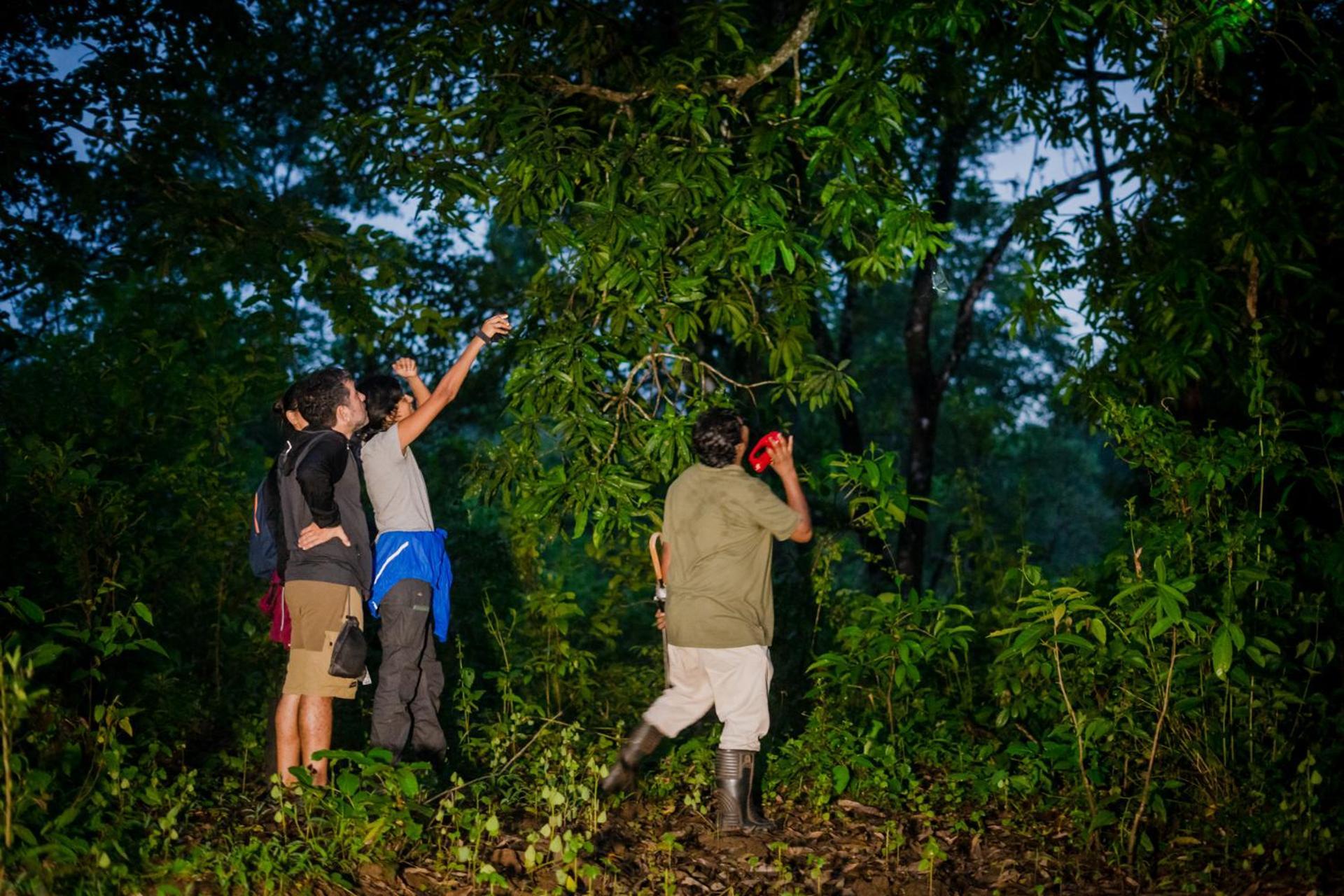 Nature'S Nest Eco Resort Goa, Near Dudhsagar Waterfalls Molem Eksteriør bilde